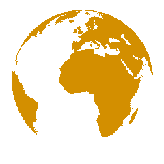 Zijin Gold International