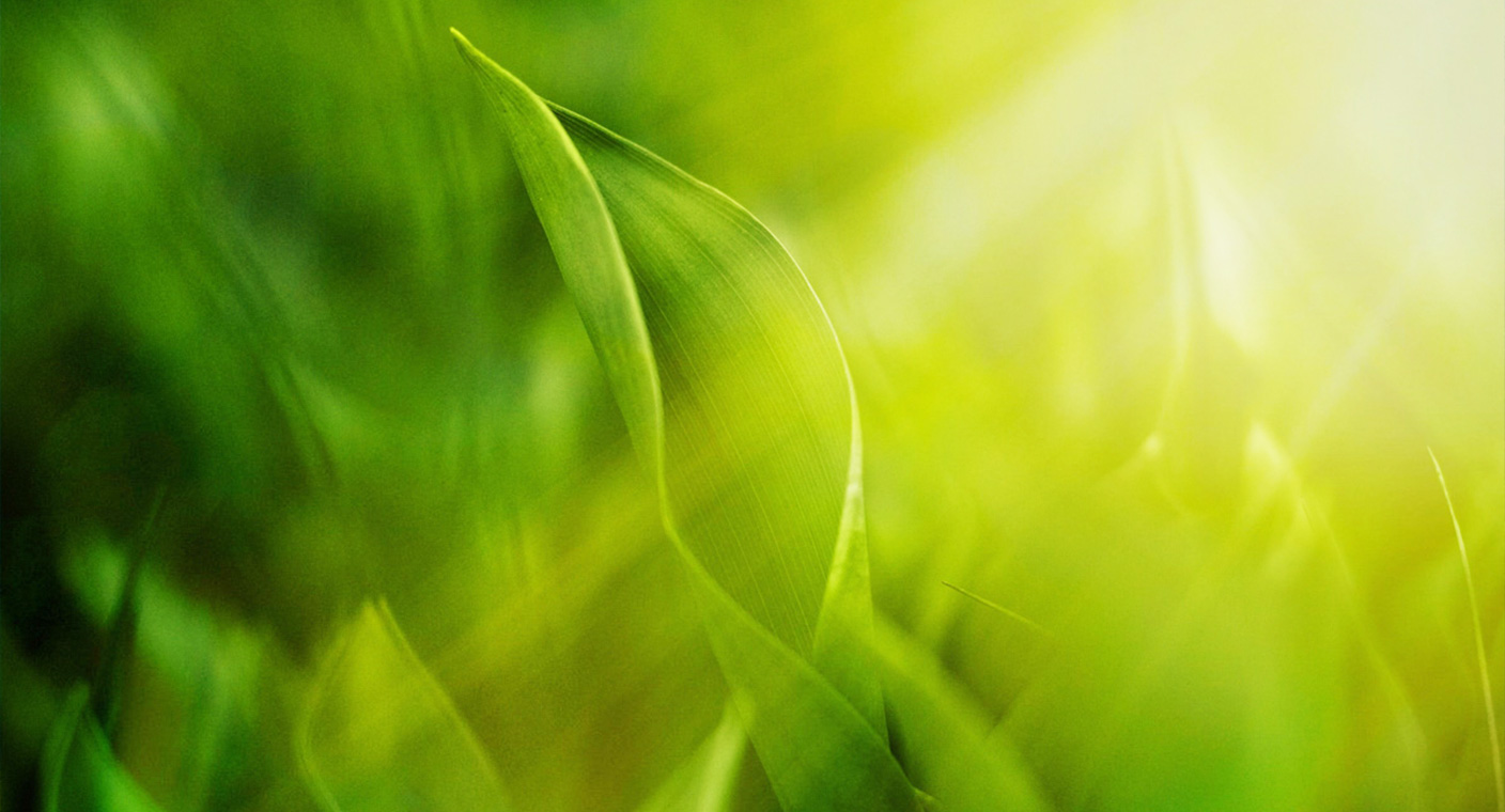 Sustainability